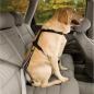 Preview: Kurgo Seatbelt Teather with Carabiner Black Preview: Kurgo Seatbelt Teather with Carabiner Black